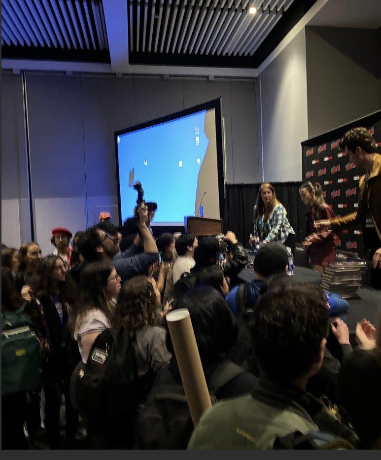 The crowd at the Comic Con panel